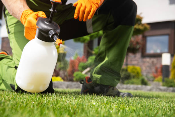 Best Affordable Exterminators  in Combe, LA