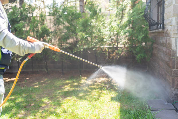 Spider Control Near Me in Lacombe, LA