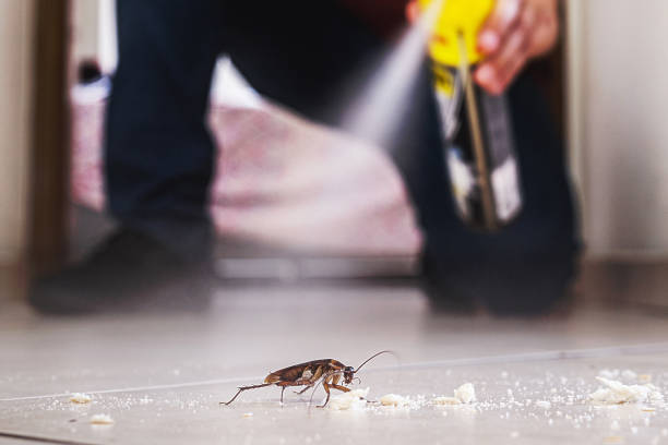 Best Emergency Pest Control  in Combe, LA